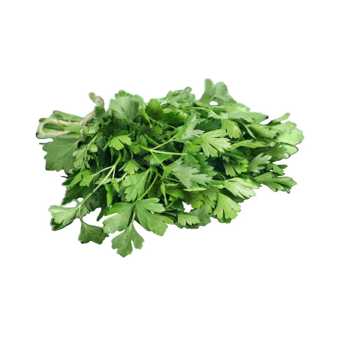 Certified Organic Cilantro Bunch (each)