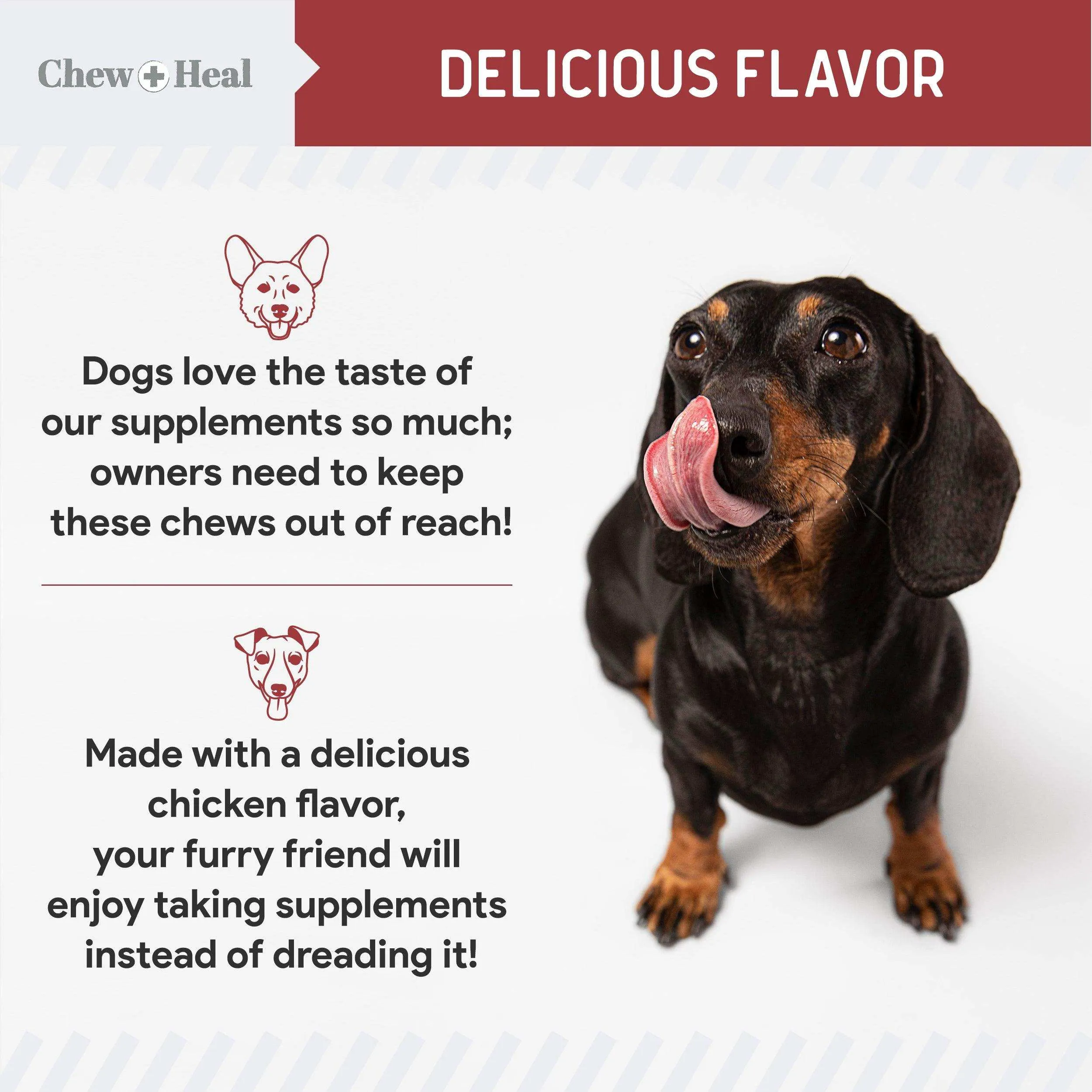 Chew   Heal UTI Treatment Cranberry Chews for Dogs