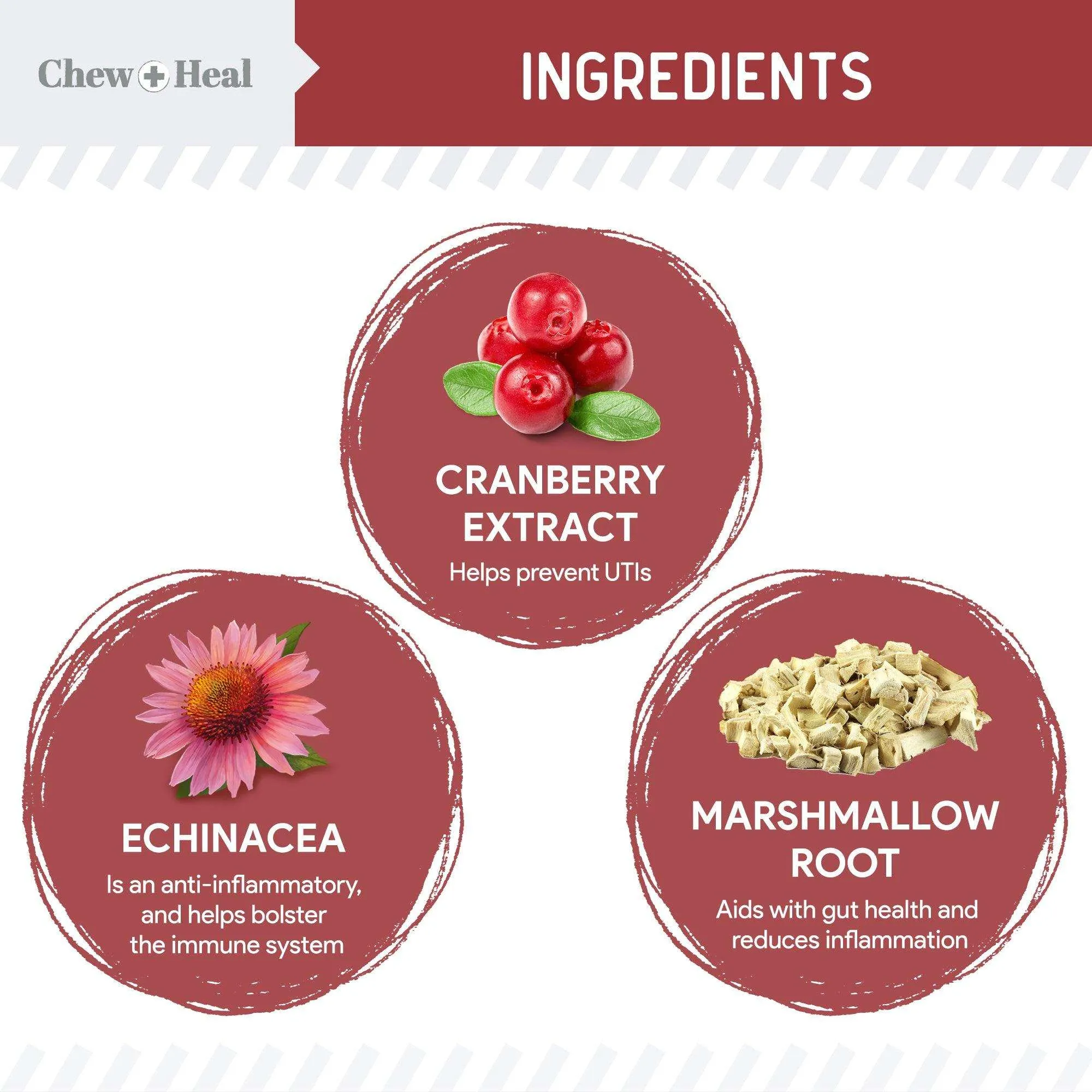 Chew   Heal UTI Treatment Cranberry Chews for Dogs