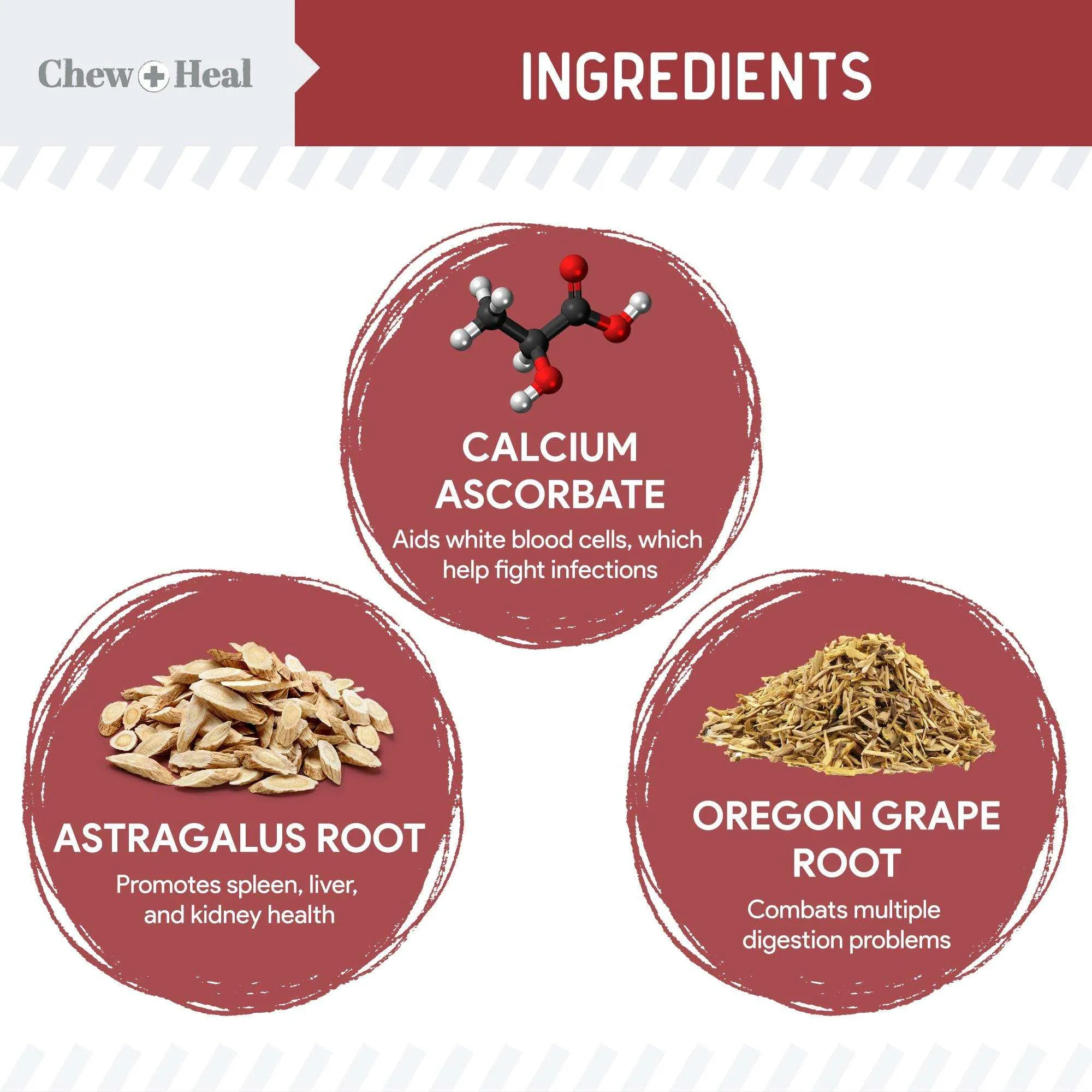 Chew   Heal UTI Treatment Cranberry Chews for Dogs