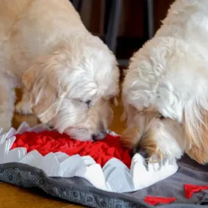 Injoya Shark Snuffle Feeding Mat For Dogs