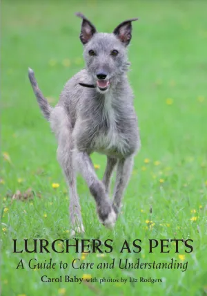 Lurchers as Pets