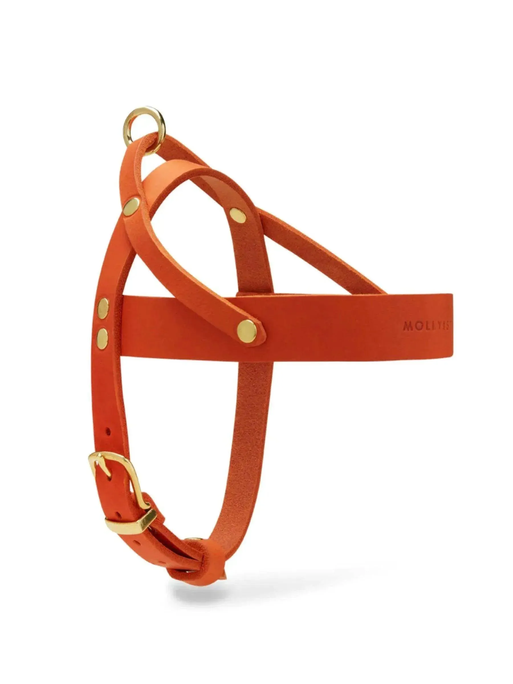 [MANGO] BUTTER LEATHER DOG HARNESS