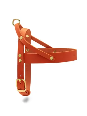 [MANGO] BUTTER LEATHER DOG HARNESS