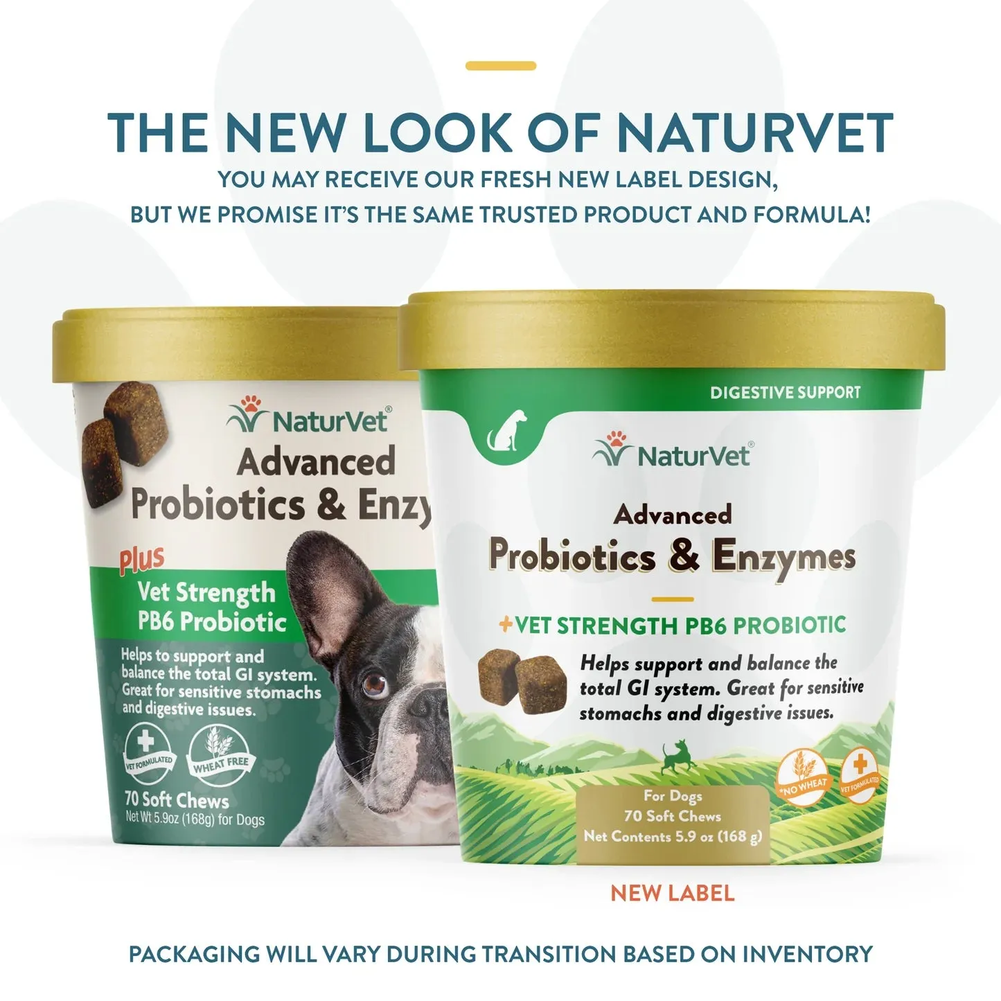 Naturvet Advanced Probiotics & Enzymes   Vet Strength PB6 Probiotic Soft Chew Dog Supplement (70 Count)