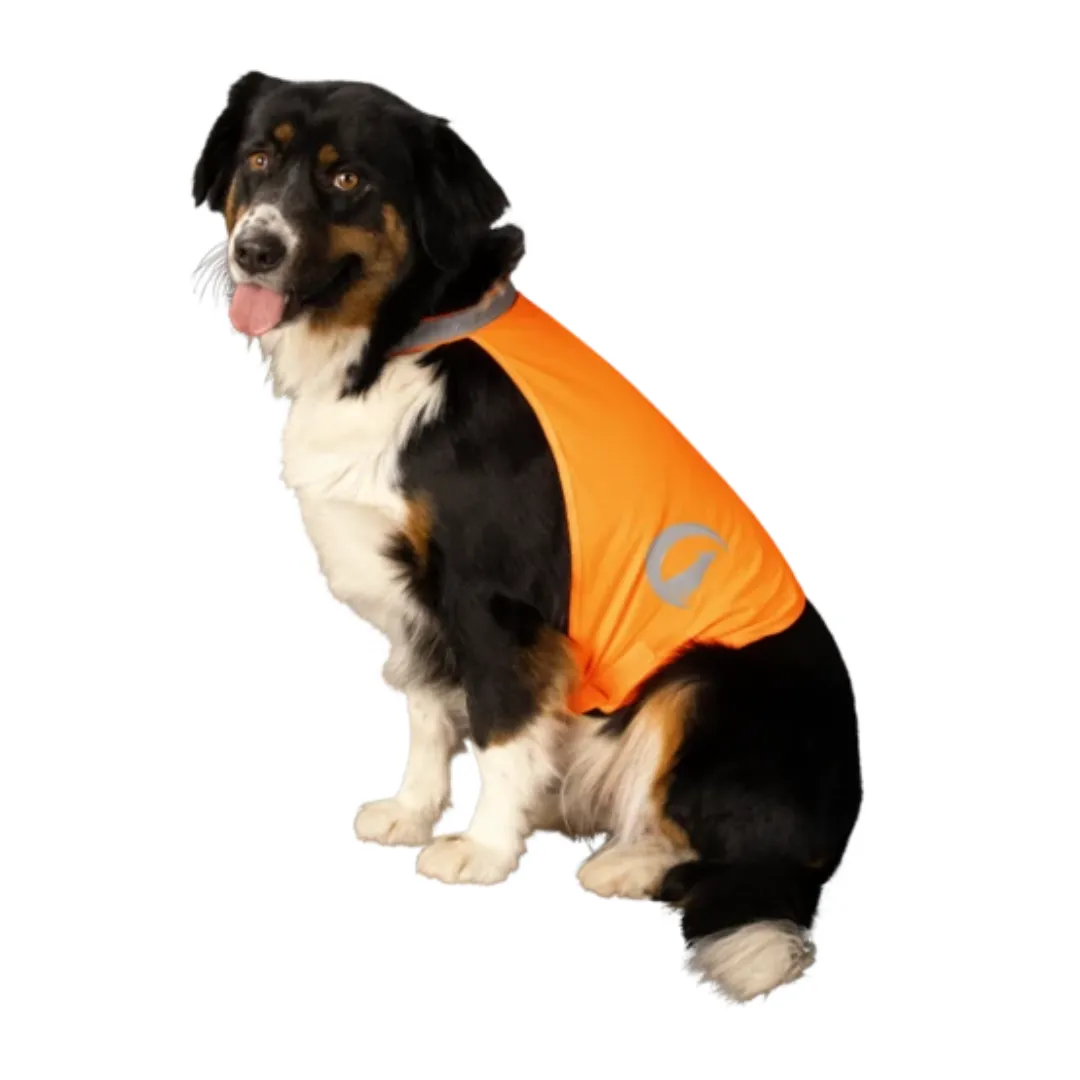 NightWalk Orange Dog Safety Vest