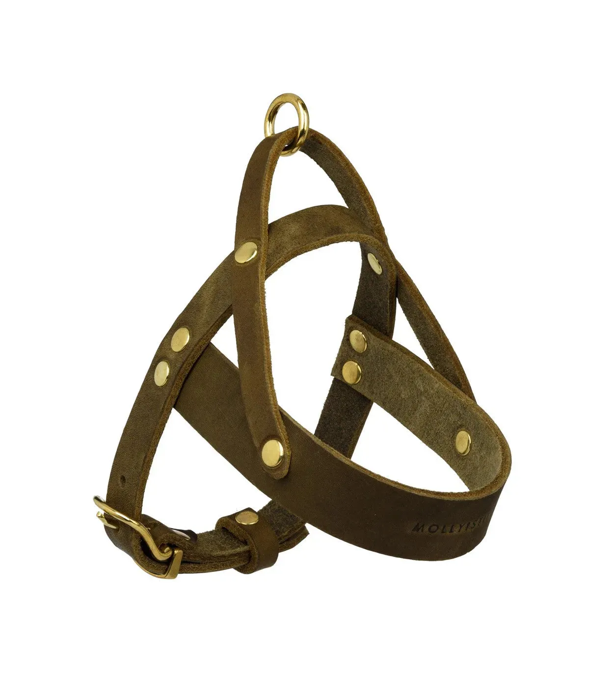 [OLIVE TREE] BUTTER LEATHER DOG HARNESS