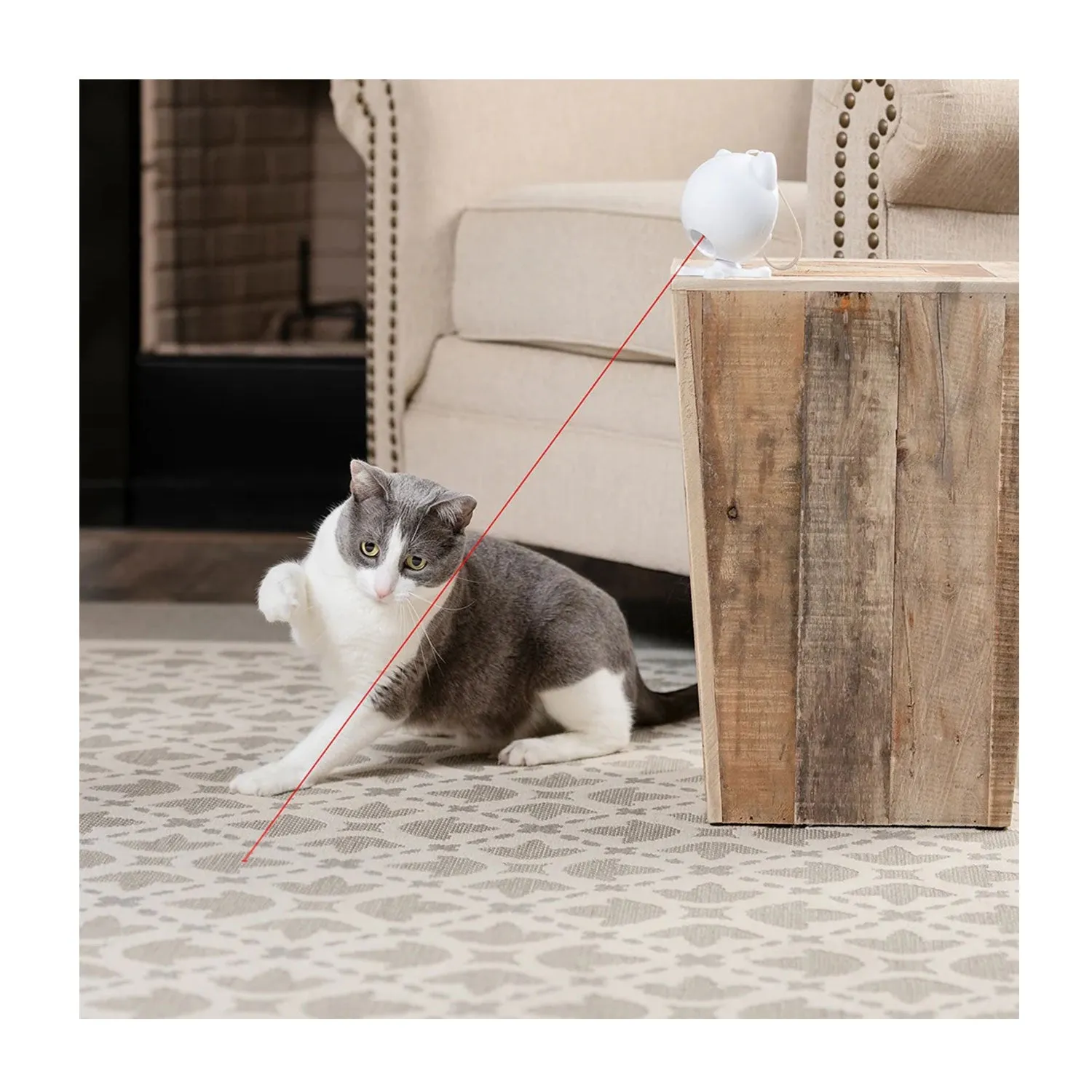 PetSafe Dancing Dot Laser Cat Toy