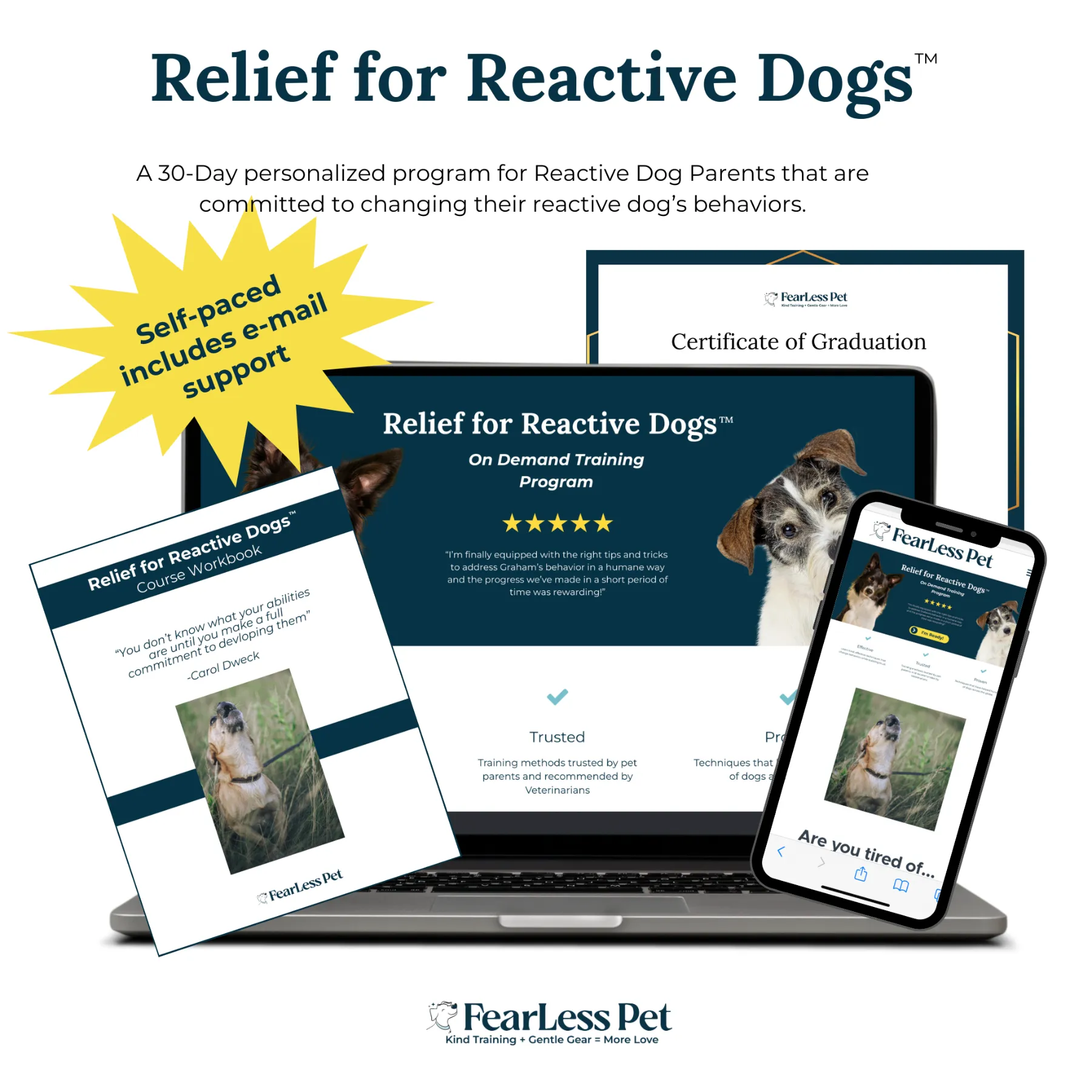 Relief for Reactive Dogs Training