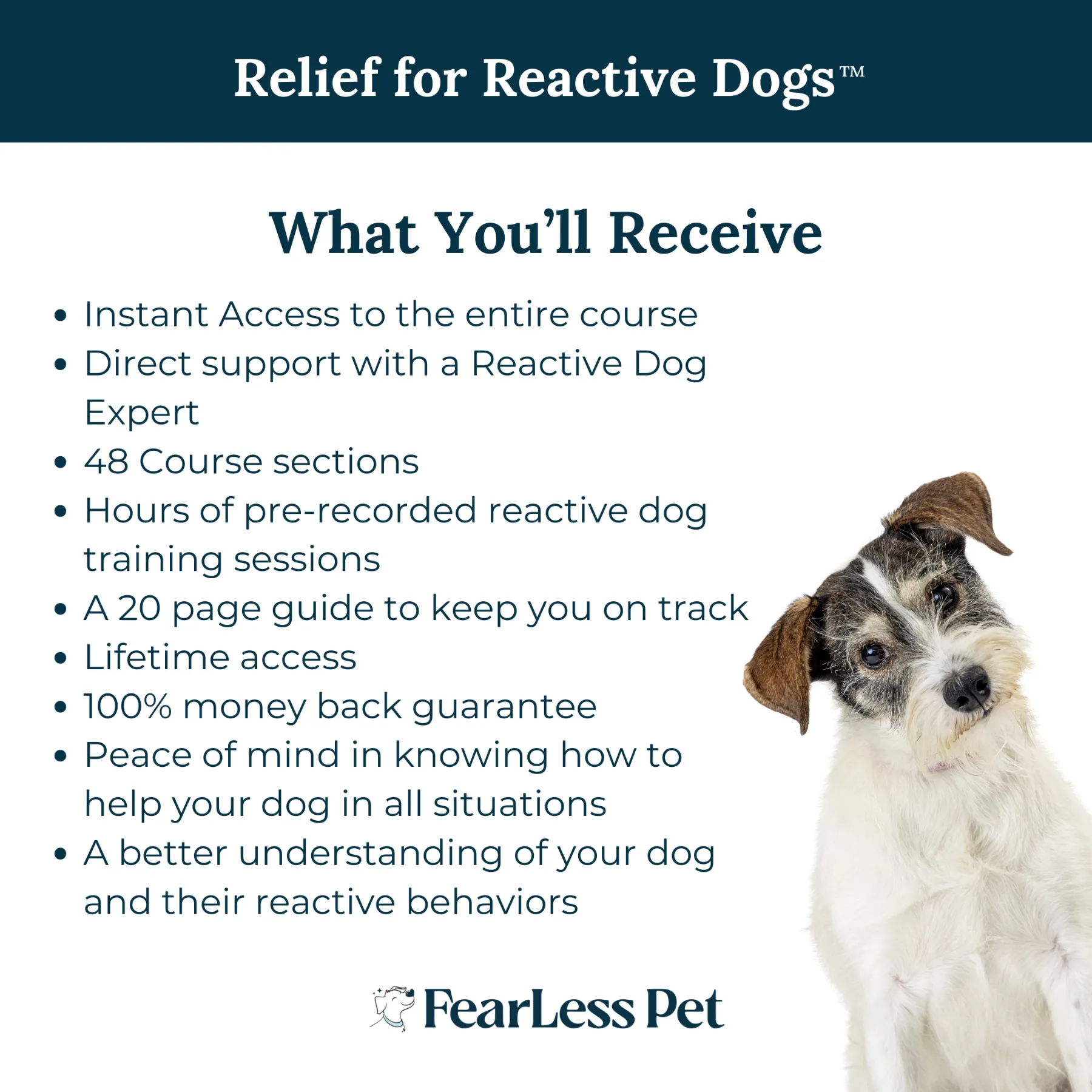 Relief for Reactive Dogs Training