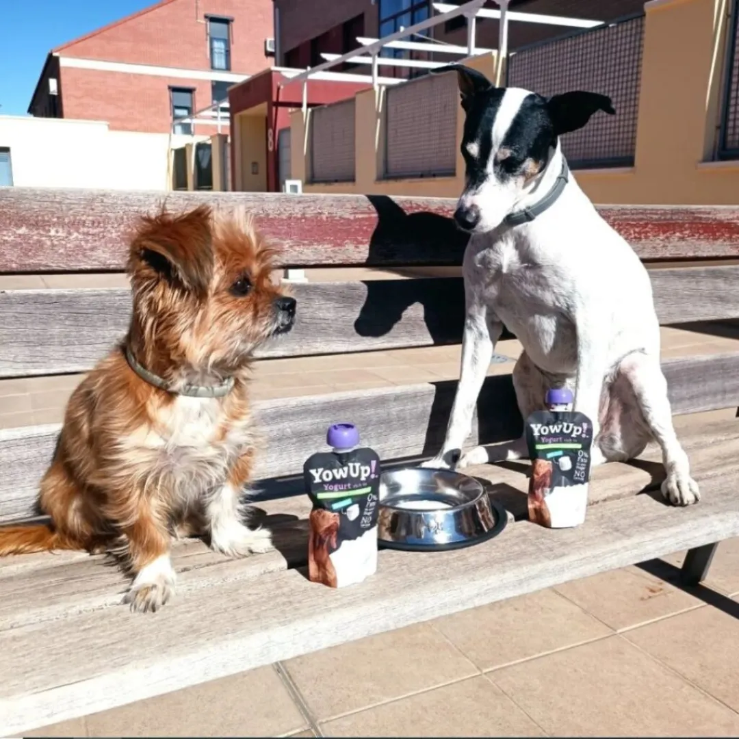 YowUp! Dog Yoghurt - Turkey L.Casei Probiotics